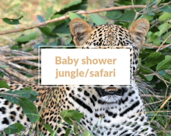 Read more about the article Comment organiser une baby shower jungle comme une pro 🙈 ?