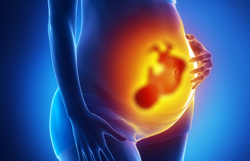 Café et grossesse : comment la caféine affecte-t-elle le fœtus ?