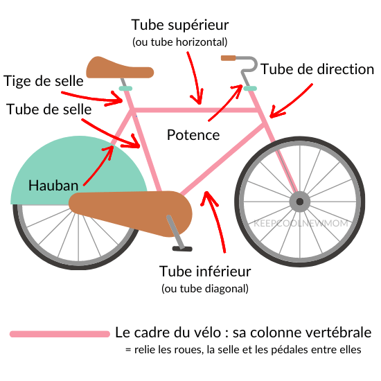 Anatomie du vélo