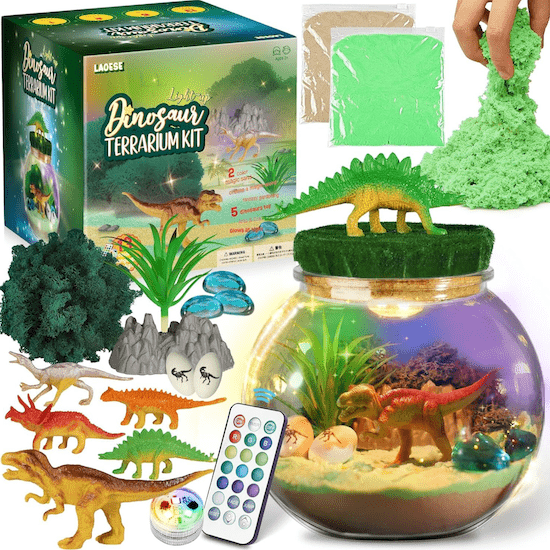 Jouet dinosaure kit de Terrarium