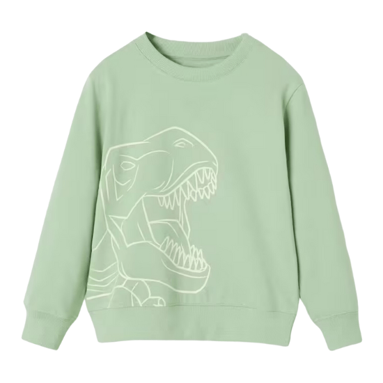 Sweat dinosaure pour garçon vertbaudet