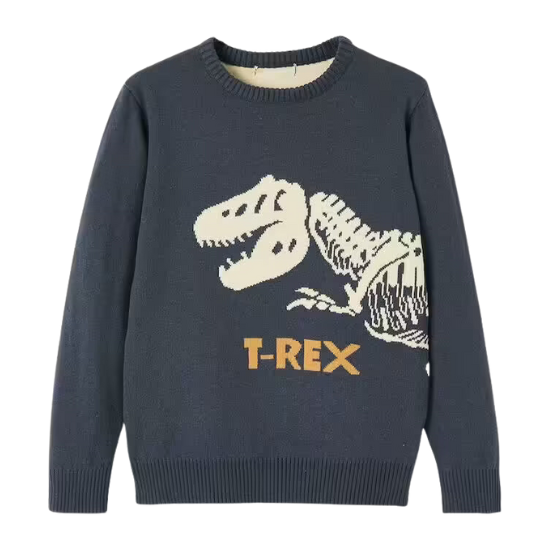 Pull dinosaure garçon vertbaudet