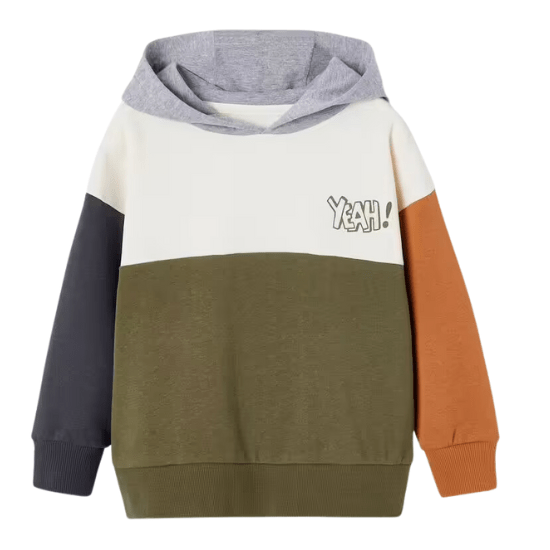 Sweat à capuche colorblock garçon vertbaudet