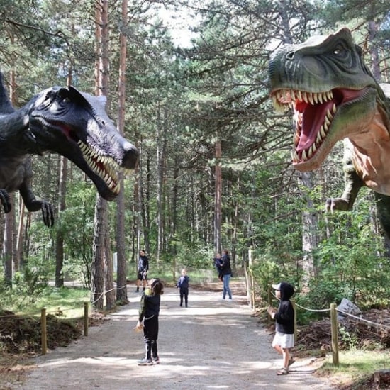 Bon cadeau Parc d’attraction au choix (Disney, Futuroscope, Puy du Fou…) sur Funbooker